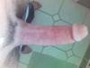 Picture_38_.jpg