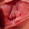 Ultra_close-up_of_my_pussy_.jpg