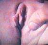 MyPicture035.jpg