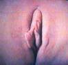 MyPicture036.jpg