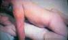 MyPicture059.jpg