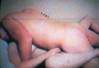 MyPicture063.jpg