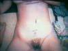 MyPicture127.jpg